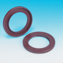 茂顺 NAK TF 骨架油封 10007024174 内径540mm 外径590mm 高度20mm (FKM)