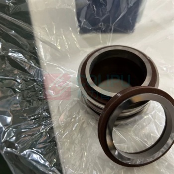 博林豪特 水泵机械密封 KQL100-94-44-18.5 (109-45) 