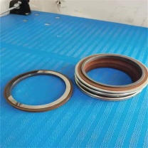 博林豪特 水泵机械密封 SLW80-200 (109-45) 