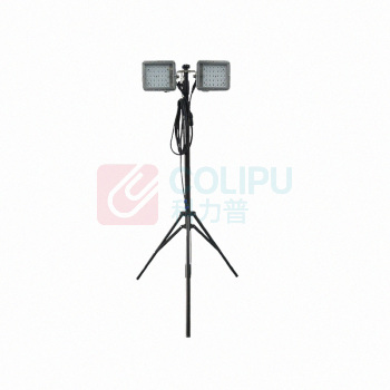顶火 照明储能装置 GMD2668E8 220V、IP66、2x50W、6300K、LED (黑色)