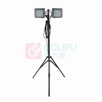 顶火 照明储能装置 GMD2668E8 220V、IP66、2x50W、6300K、LED (黑色)