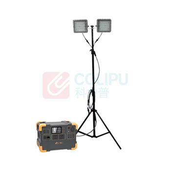 顶火 照明储能装置 GMD2668E8 220V、IP66、2x50W、6300K、LED (黑色)