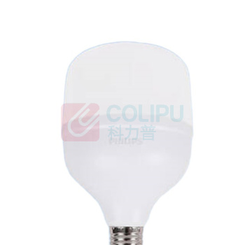 飞利浦 PHILIPS 灯泡 24W (白色) 865 E27 G4