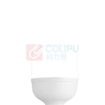 飞利浦 PHILIPS 灯泡 24W (白色) 865 E27 G4