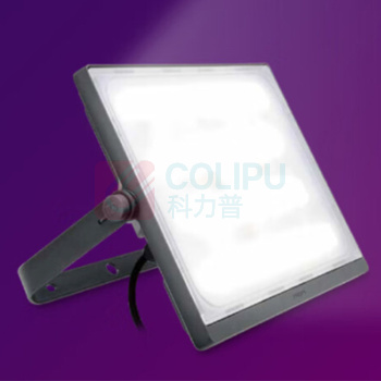 飞利浦 PHILIPS 明晖LED投光灯 投光灯(高性能)BVP176 防水户外庭院路灯照明 CQC认证