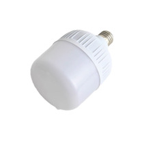 赛时工控 SHSSGK LED灯泡 SKSZD8-8115 30W 6500K E27螺口