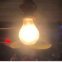 世林 白炽灯泡 E27 100W