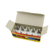 佛山照明 灯泡24V 2410