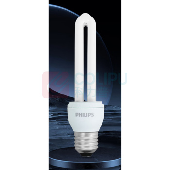 飞利浦 PHILIPS 节能灯管 E27 14W