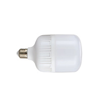 麦哲喆 LED灯泡 MZZ-ZP15W 15W (白光) 灯头标准E27