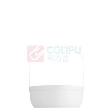 雷士 灯泡 E27 50W