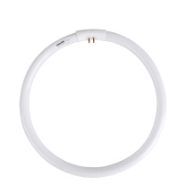 飞利浦 PHILIPS 环形灯管 T5/6500K/32W 白光 10只/箱