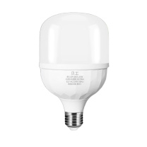 贝工 LED灯泡 BG-QP100T/25W 25W (白光) E27 6500K