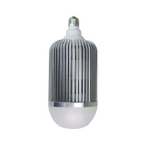 劲荣 JINGRONG 灯泡 DDZM365 30W AC220V 50Hz 5700K (白色)