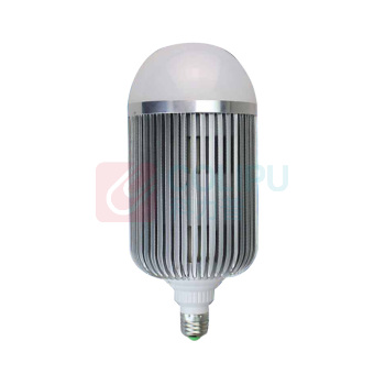 劲荣 JINGRONG 灯泡 DDZM365 30W AC220V 50Hz 5700K (白色)