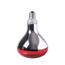安赛瑞 仔猪取暖灯 510343 / (红色光面100w) φ125x高183mm,规格