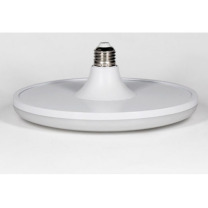 华光 LED灯泡 E27 16W/220V 