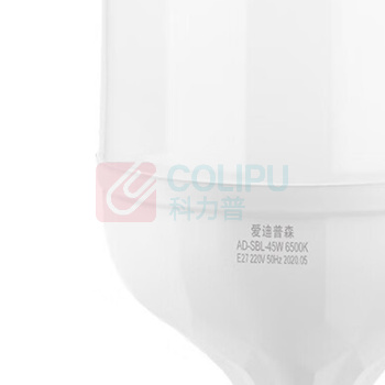 爱迪普森 IDEAPOST 圆泡节能灯大螺口球泡 led灯泡 AD-SBL-220-45W / (白色) E27 6500K 220V