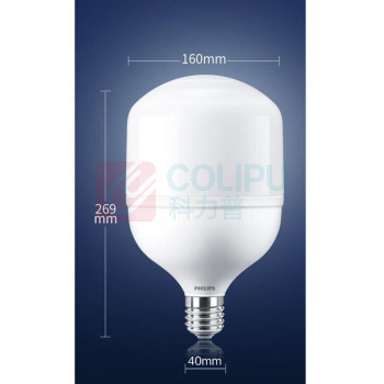 飞利浦 PHILIPS 灯泡 80W (冷白光)