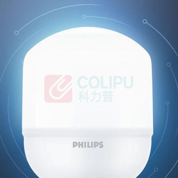 飞利浦 PHILIPS 灯泡 80W (冷白光)