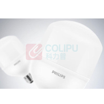 飞利浦 PHILIPS 灯泡 80W (冷白光)