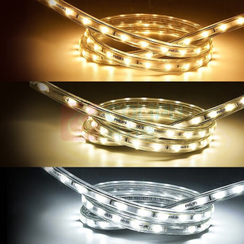 飞利浦 PHILIPS 恒亮LED高压灯带单排 7.5W (冷光) 50米 6500K