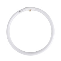 飞利浦 PHILIPS 环形灯管 T5/6500K/22W 白光 10只/箱