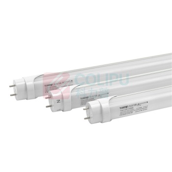 通明电器 T8灯管 ZM1500-L8D 单端8W (白色)