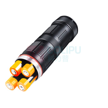 虎光风行 手提灯 FL-SFW6101 额定功率40W 额定电压5V 防护等级IP66 色温6000 (黑色)