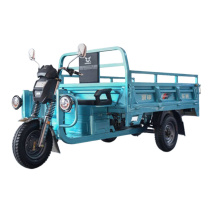 宗申 电动三轮车 BEV-T8A 72120水电瓶