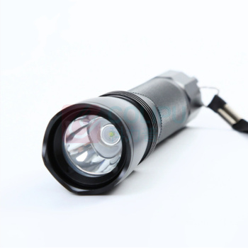 和齐顺 Hikesun LED巡检手电 HQS-SD7622 2W (黑色)