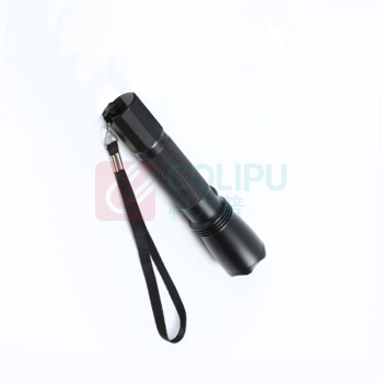 和齐顺 Hikesun LED巡检手电 HQS-SD7622 2W (黑色)