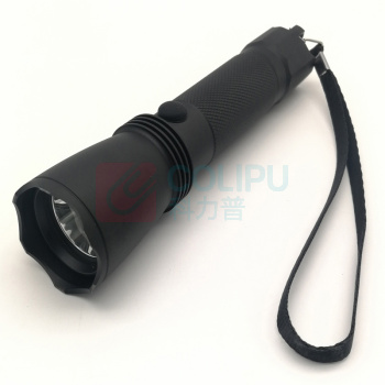 虎光风行 强光电筒 FL-IW7622B 157mmx28mm