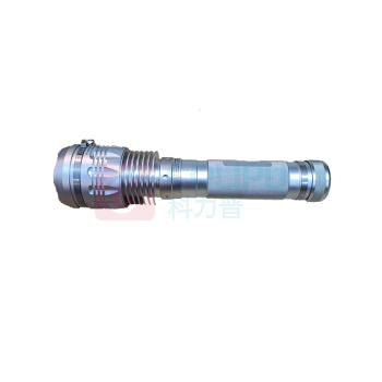 赛时工控 电筒 SKSZD8-7208 DC11.1V 21W~25W 6700K (银)