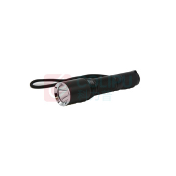赛时工控 SHSSGK 微型强光电筒 SKSZD8-7206 3.7V 3W 6700K IP66/IP68 (黑)