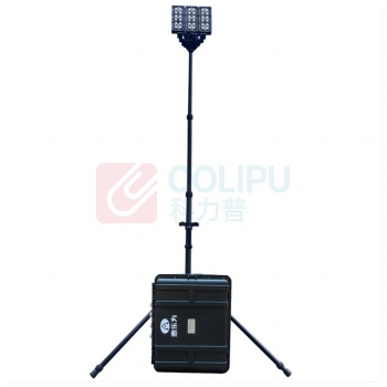惠乐为 应急供电调控照明装置 ML3021 22.2VDC 210W IP66 LED 电池 (黑色)
