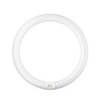 飞利浦 PHILIPS 环形灯管 TL5 ES 三基色环管圆形吸顶灯荧光灯管6500k日光 40W-6500K外直径275mm