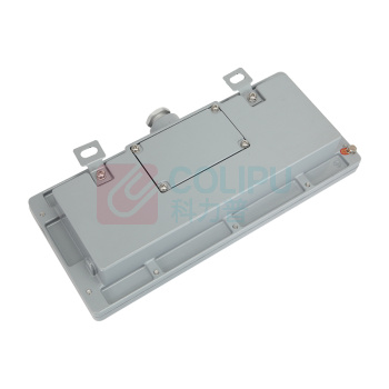 通明 集中控制型消防应急标志灯具 TM-BLJC-1LROE I 3W-BC4200带系统 3W IP66 ExdelICT6Gb/ExtdA21 IP66 T80℃ DC36V 安全出口 (灰色)