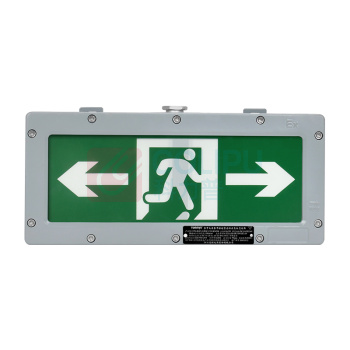 通明 集中控制型消防应急标志灯具 TM-BLJC-1LROE I 3W-BC4200带系统 3W IP66 ExdelICT6Gb/ExtdA21 IP66 T80℃ DC36V 左右 (灰色)