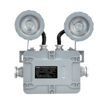 通明 集中控制型消防应急照明灯具 TM-ZFJC-E3W-BC5200带系统 2×1.5W IP66 ExdIICT6Gb/ExtDA21 IP66 T80℃ DC36V 5000K白光 (灰色)