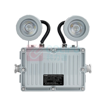 通明 集中控制型消防应急照明灯具 TM-ZFJC-E3W-ZY5200带系统 2×1.5W IP66 DC36V 5000K白光 (灰色)
