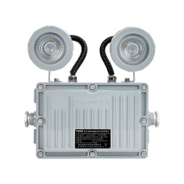 通明 集中控制型消防应急照明灯具 TM-ZFJC-E3W-ZY5200带系统 2×1.5W IP66 DC36V 5000K白光 (灰色)