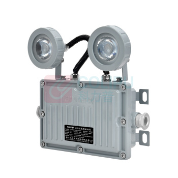 通明 集中控制型消防应急照明灯具 TM-ZFJC-E3W-ZY5200带系统 2×1.5W IP66 DC36V 5000K白光 (灰色)