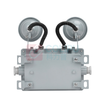 通明 集中控制型消防应急照明灯具 TM-ZFJC-E3W-ZY5200带系统 2×1.5W IP66 DC36V 5000K白光 (灰色)