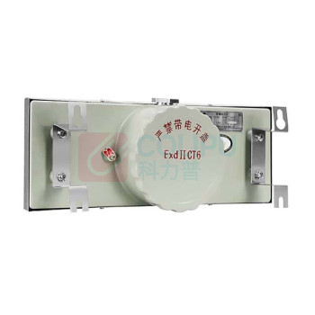深照紫光 单面安全出口 GB8011B 4W (绿色) 防爆标志灯
