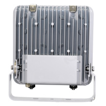 通明 防水防尘灯LED防眩泛光灯 ZY8101-L40 108-305VAC/127-300VDC 40W IP66 5000K (黑色)