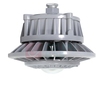 通明 TORMIN LED照明灯 ZY8607P-L80-100 185-264VAC 80W 5000K (灰色)