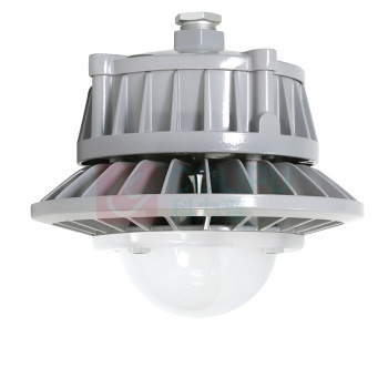 通明 防水防尘灯 ZY8607P-L80-200 165-264VAC 80W IP66 5000K (灰色)