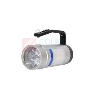明特佳 MINGTEJIA 手持工作灯 MTJ-BSJ7207 12W φ73×183mm (银白色) 5700K 500M LED 电源方式(充电、电池)*电池 ExdiallCT6Gb IP68