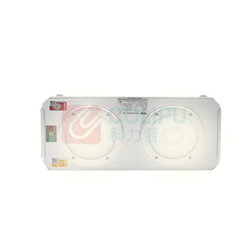 惠乐为 应急照明灯 乐惠LH-ZFZD-E5W 220V 5W (银色)